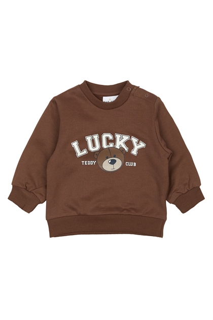 The New Siblings Sweatshirt Perseus - Pinecone 